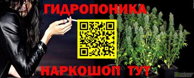 марки lsd Анжеро-Судженск