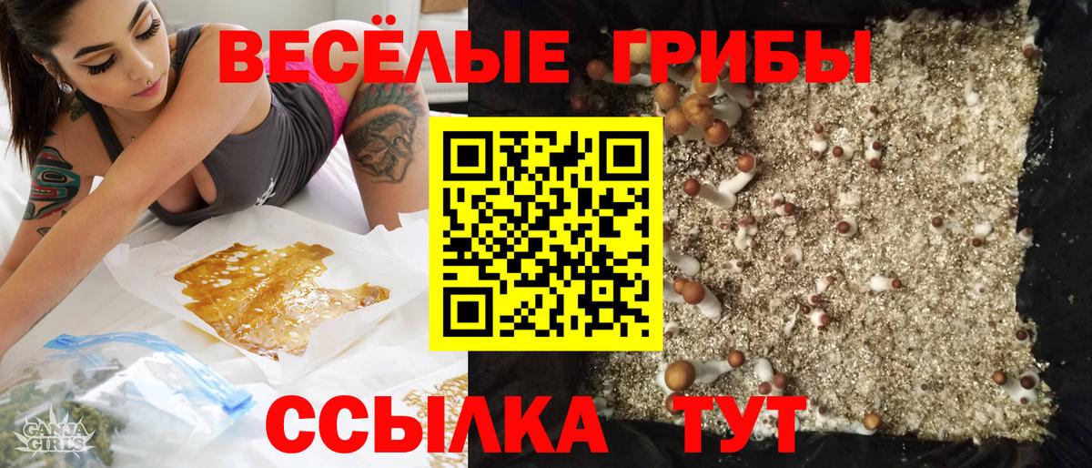 Воронеж  купить наркотики сайты  Вход с VPN  Псилоцибиновые грибы ЛСД  Галлюциногенные грибы ЛСД 