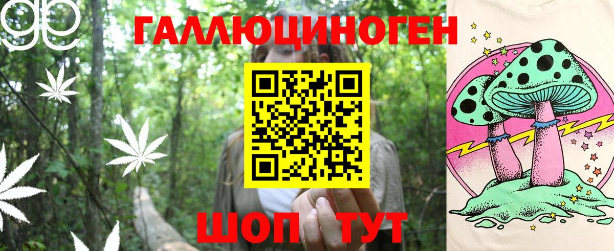 Галлюциногенные грибы Psilocybe Воронеж